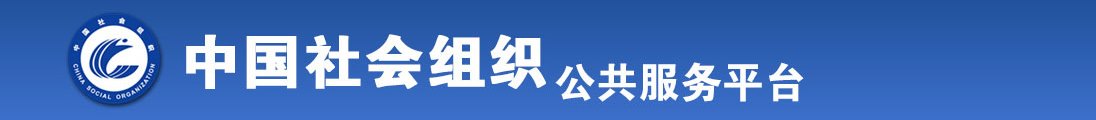 操B爽歪歪全国社会组织信息查询